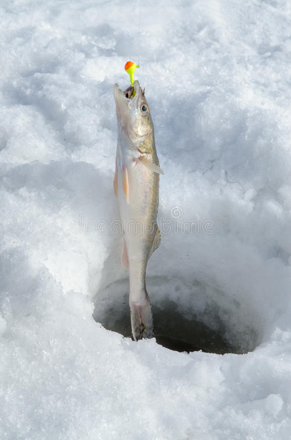Pêche sur un lac gelé